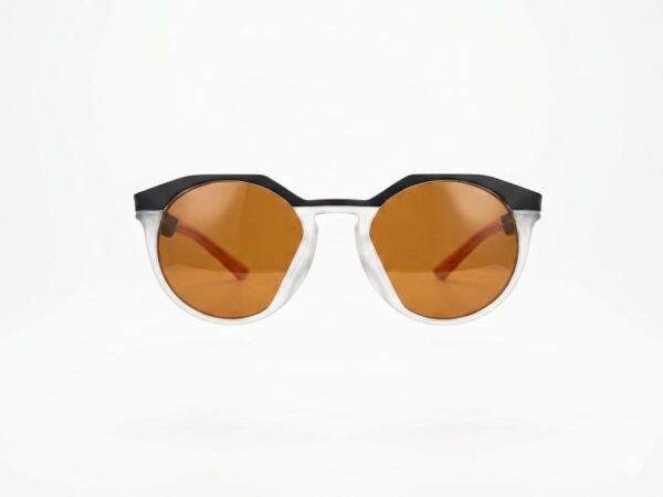 Polarised Sunglasses