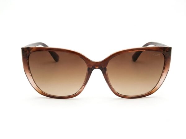 Irus sunglass