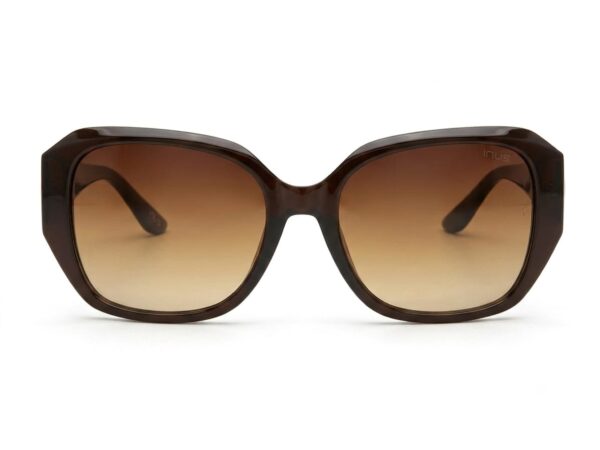 Irus sunglass